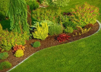 Sarasota Landscaping & Design - Garden Remodeling in Sarasota, FL