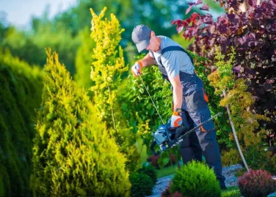 Sarasota Landscaping & Design - Garden Remodeling in Sarasota, FL
