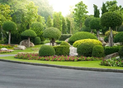 Sarasota Landscaping & Design - Garden Remodeling in Sarasota, FL