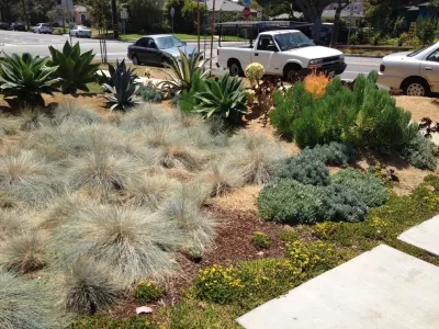 Satori Garden Design - Rainwater Harvesting System Installation in Santa Monica, CA