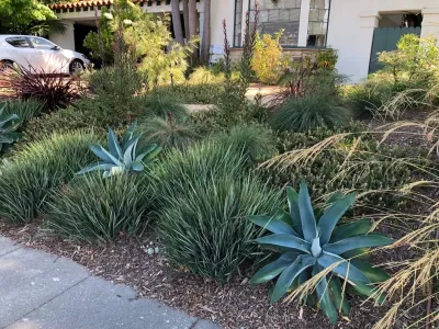 Satori Garden Design - Rainwater Harvesting System Installation in Santa Monica, CA