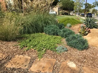 Satori Garden Design - Rainwater Harvesting System Installation in Santa Monica, CA
