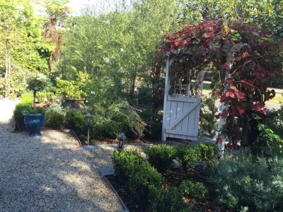 Satori Garden Design - Rainwater Harvesting System Installation in Santa Monica, CA