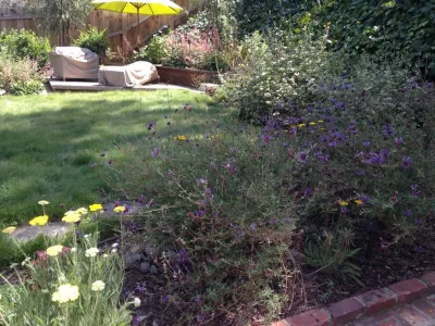 Satori Garden Design - Rainwater Harvesting System Installation in Santa Monica, CA