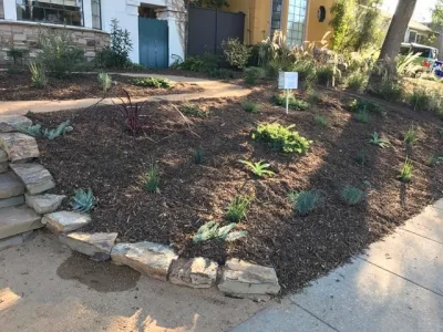 Satori Garden Design - Rainwater Harvesting System Installation in Santa Monica, CA