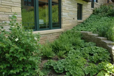 Savanna Designs, Inc. - Patio Design & Installation in Afton, MN