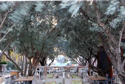 SLS Hotel — Landscape Design project by Savino Miller Design Studio in Miami Beach