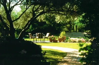 SBD-studio - Garden Remodeling in Scottsdale, AZ
