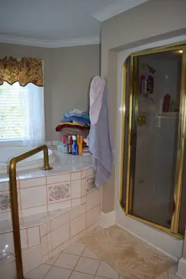 Chapin SC Masterbath Pre-Renovation by Master's Men Remodeling