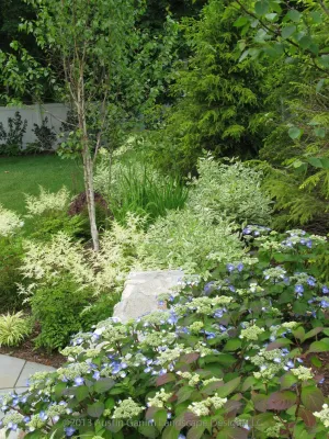 Austin Ganim Landscape Design, LLC - Garden Remodeling in Fairfield, CT