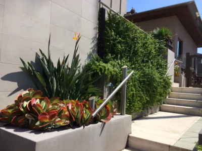 Schnetz Landscape Inc. - Landscape Construction in Escondido, CA