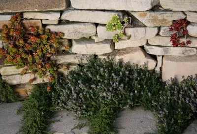 Schnetz Landscape Inc. - Landscape Construction in Escondido, CA