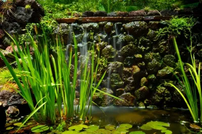 Schnetz Landscape Inc. - Landscape Construction in Escondido, CA