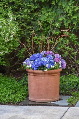 Scott Byron & Co., Inc. - Patio Design & Installation in Lake Bluff, IL