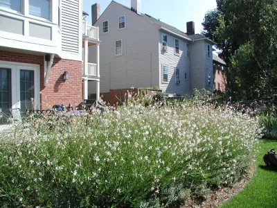 Searle Design Group, LLC - Landscape Design in Providence, RI