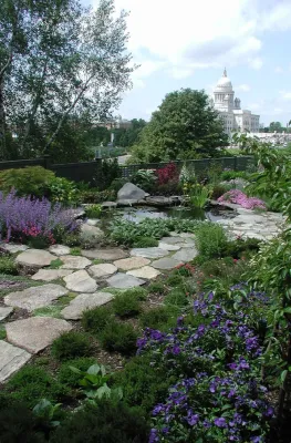 Searle Design Group, LLC - Landscape Design in Providence, RI