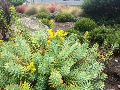 Seasons Garden Design LLC - Garden Remodeling in Vancouver, WA