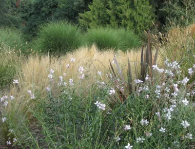 Seasons Garden Design LLC - Garden Remodeling in Vancouver, WA