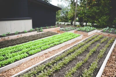 Seattle Urban Farm Company - Garden Remodeling in Seattle, WA