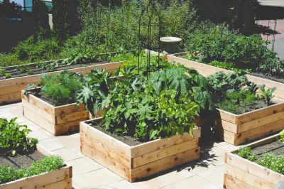 Magnolia Rooftop Kitchen Garden — Landscape Design project by Seattle Urban Farm Company