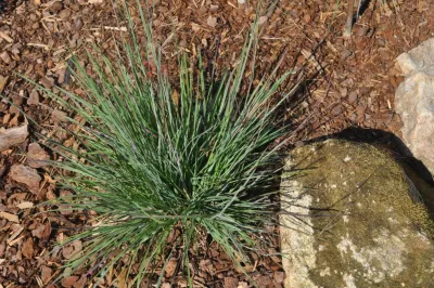 Seay Partners, Inc. - Garden Remodeling in Greensboro, NC