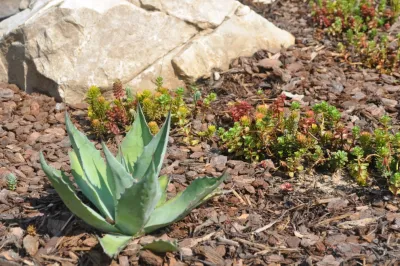 Seay Partners, Inc. - Garden Remodeling in Greensboro, NC
