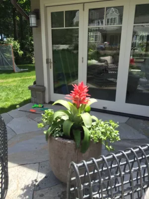 Second nature landscape design llc - Patio Design & Installation in Norwalk, CT