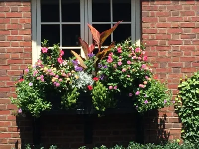 Second nature landscape design llc - Patio Design & Installation in Norwalk, CT