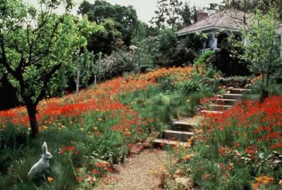 Secret Gardens - Garden Remodeling in San Jose, CA