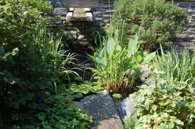 SED Design - Garden Remodeling in Blue Bell, PA