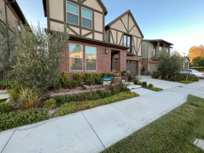 SEED Landscape Solutions Inc. - Landscape Design in Laguna Niguel, CA