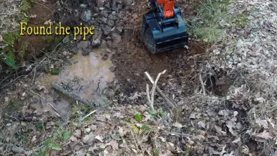 Residential Dirt Work - Tree & Shrub Care in Auburn, AL