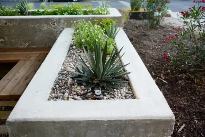 Fortview by Seedlings Landscape Design Build