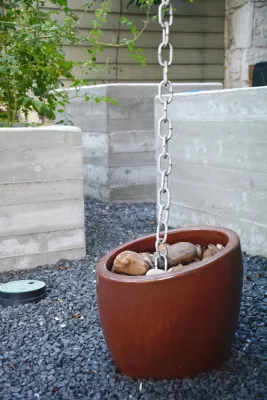 Seedlings Landscape Design Build - Garden Remodeling in Austin, TX