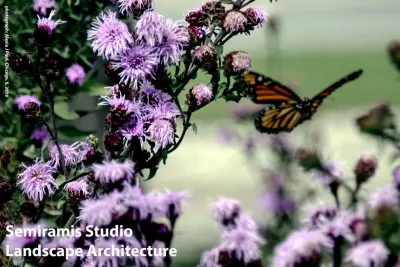 Semiramis Studio - Garden Remodeling in Chicago, IL