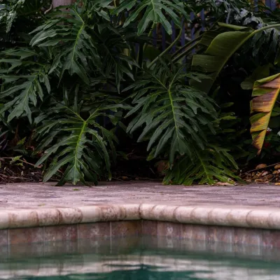 Serenoa Landscape Design - Garden Remodeling in Jacksonville, FL