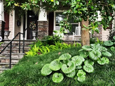 McInerney Residence : Atlantic Beach — Landscape Design project by Serenoa Landscape Design