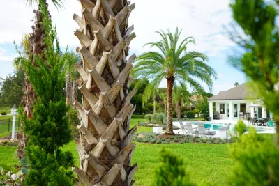 Tuggle Residence : Sawgrass Country Club by Serenoa Landscape Design