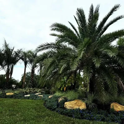 Truax Residence : Plantation at Ponte Vedra Beach — Landscape Design project by Serenoa Landscape Design in Ponte Vedra Beach