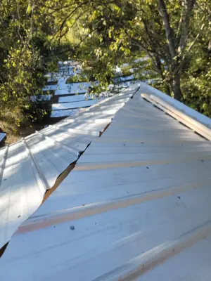 PurePine Innovations LLC - Carpentry & Woodworking in Colquitt, GA