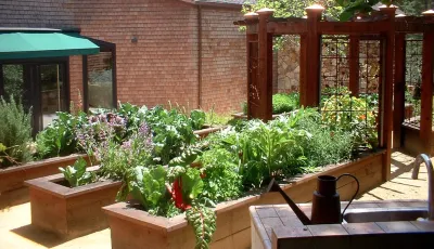 Residential Edible Garden — Landscape Design project by ServeScape