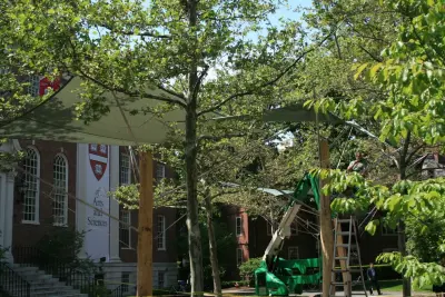 HARVARD GREENSPACE — Home Renovation & Remodeling Services project by Paquette Associates Inc.