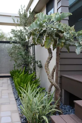 Shades Of Green Landscape Architecture - Patio Design & Installation in Sausalito, CA