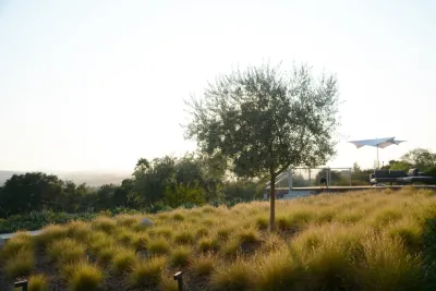 Shades Of Green Landscape Architecture - Patio Design & Installation in Sausalito, CA