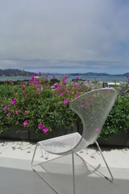 Shades Of Green Landscape Architecture - Patio Design & Installation in Sausalito, CA
