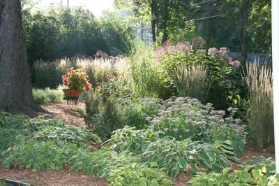 Shades of Green Landscaping - Tree & Shrub Care in Rochester, MN