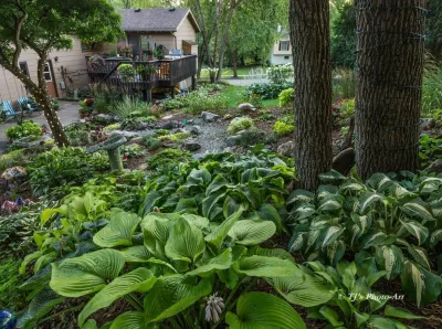 Shades of Green Landscaping - Tree & Shrub Care in Rochester, MN
