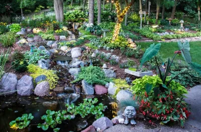 Shades of Green Landscaping - Tree & Shrub Care in Rochester, MN