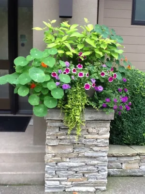 Shapiro Didway - Landscape Design in Portland, OR