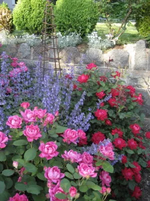 Shepard Design Landscape Architecture - AJ Shepard - Outdoor Lighting Installation in Greenbrae, CA